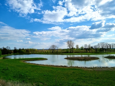 Revitalizace vodního toku Liduška II. etapa objekt SO01 lokalita Dvory  k.ú.  Dvory I