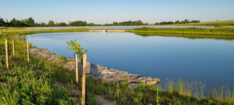 BC Veklice, Senice na Hané, Olomoucký kraj (133).jpg