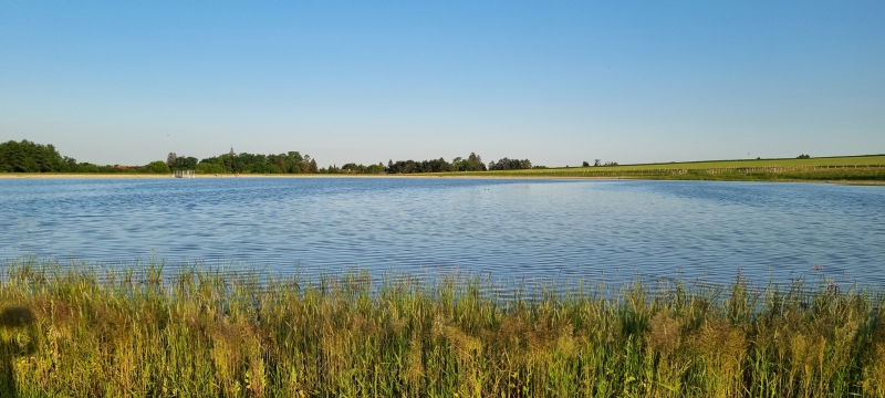 BC Veklice, Senice na Hané, Olomoucký kraj (137).jpg