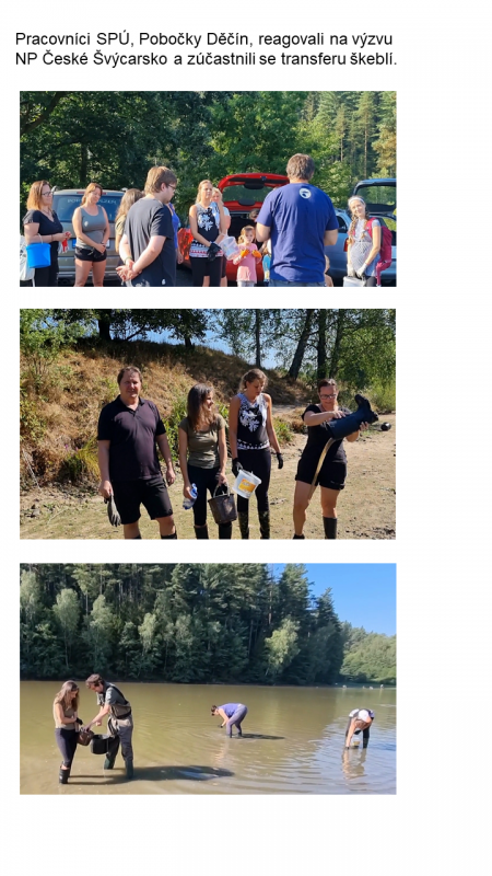 Transfer škeblí foto web.PNG