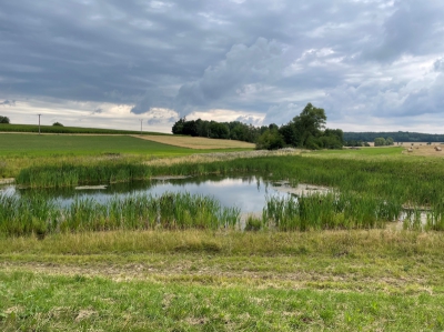 Kublov_Hotové dílo 2022.jpg