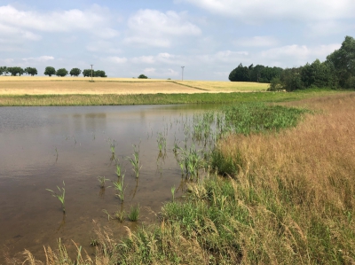 Poldr v k.ú. Kublov  - foceno v roce 2021