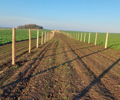 Moutnice vytýčení biokoridoru.png