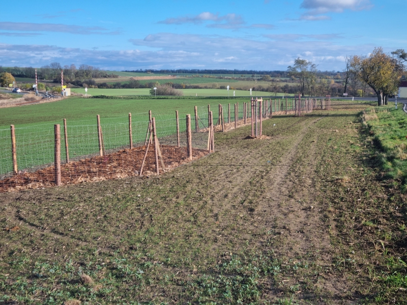 LBK 72 v k.ú. Nebužely - horní čast pod letištěm