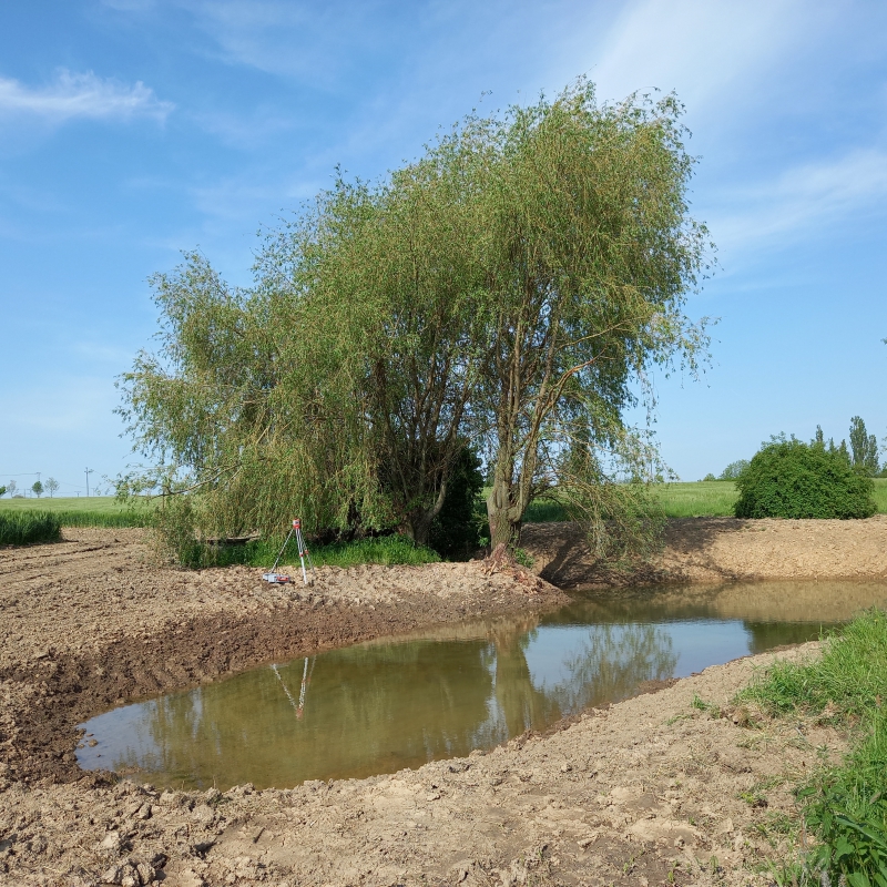 Tůň v k.ú. Pozďátky