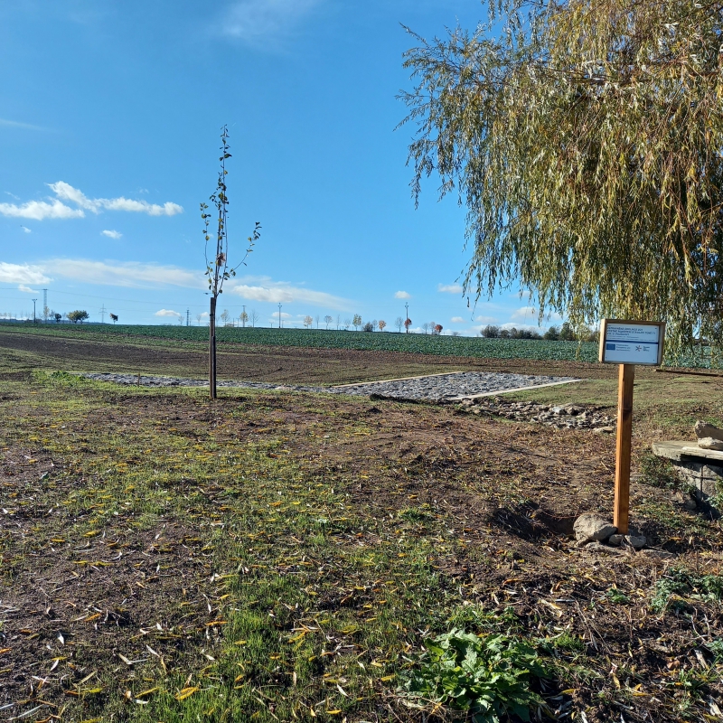 Zatravněná údolnice s přejezdem v k.ú.  Pozďátky po dokončení