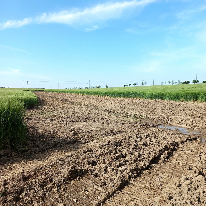 Ztravněná údolnice v průběhu realizace v k.ú.  Pozďátky.jpg