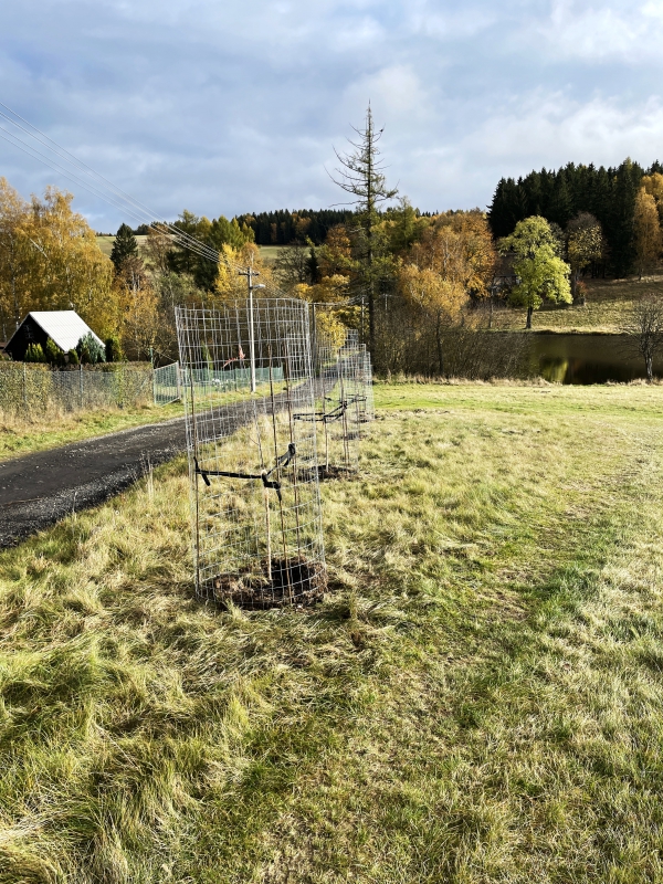 Výsadba stromů v k.ú. Vejprty