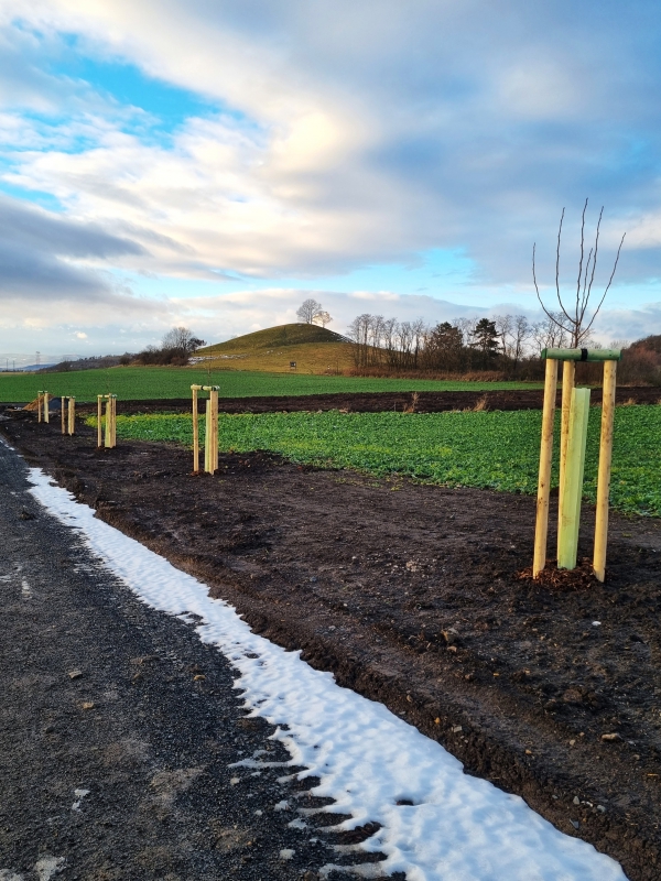 HPC3 Kozly u Loun včetně LBK a IP_Po realizaci zeleň