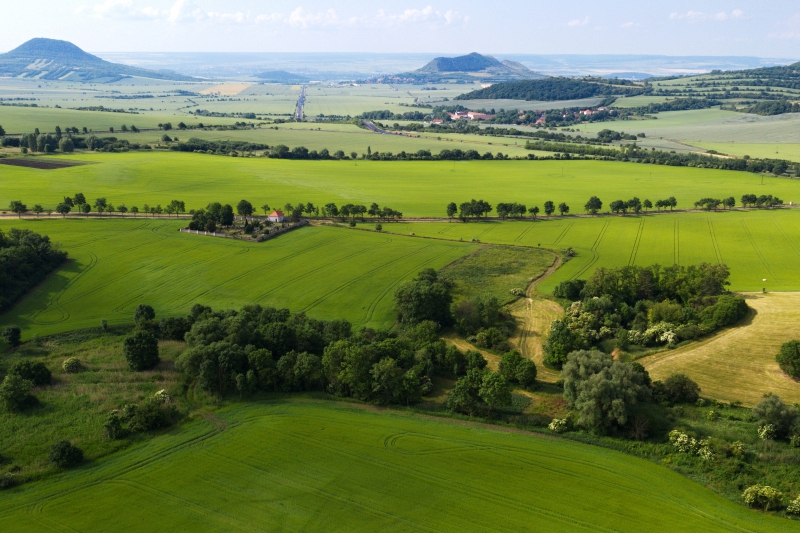 HPC3 Kozly u Loun včetně LBK a IP_Před realizací