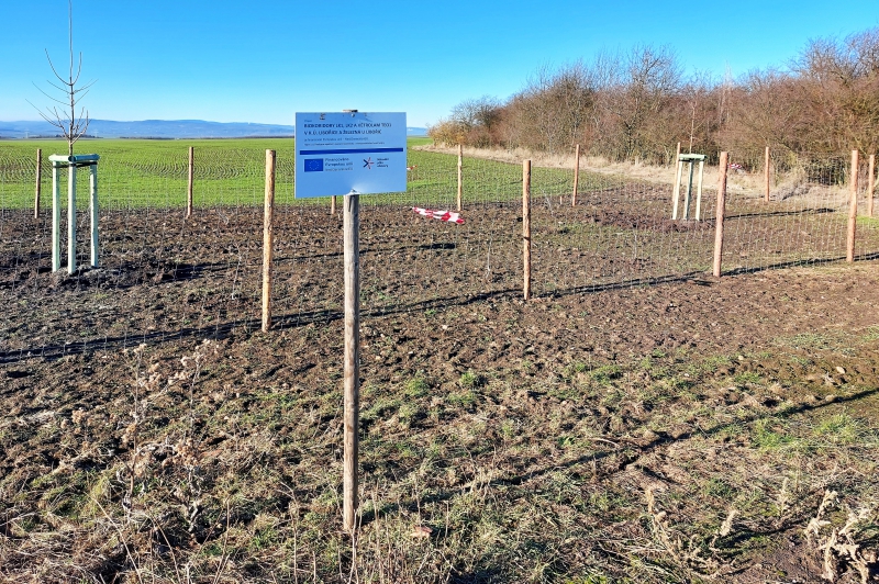 Libořice a Železná u Libořic_Po relizaci - biokoridor