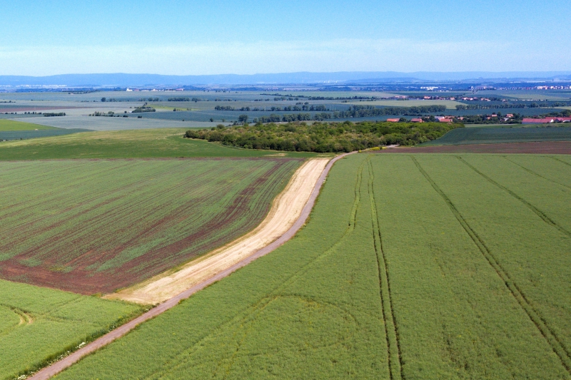 Libořice a Železná u Libořic_Před realizací -  biokoridor