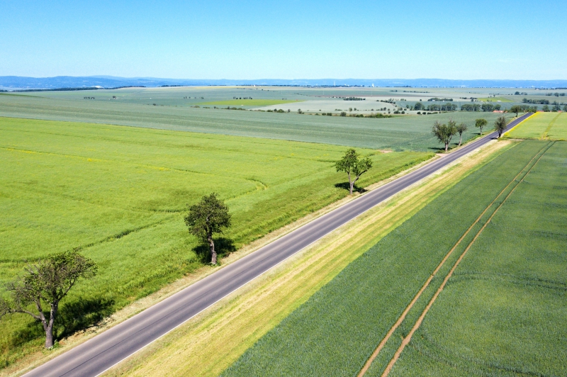 Libořice a Železná u Libořic_Před realizací - větrolam