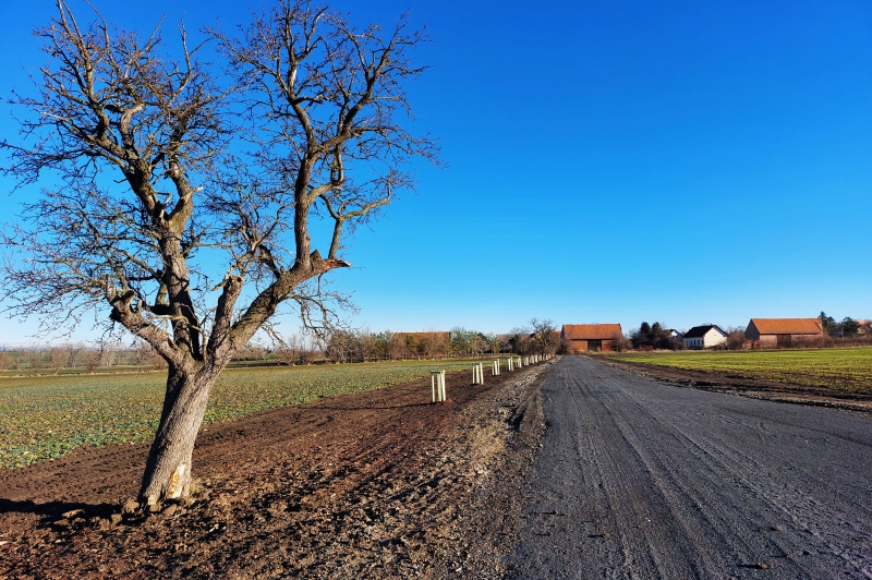 PSZ v Milčevsi a Železné u Libořic_Po realizaci a zeleň