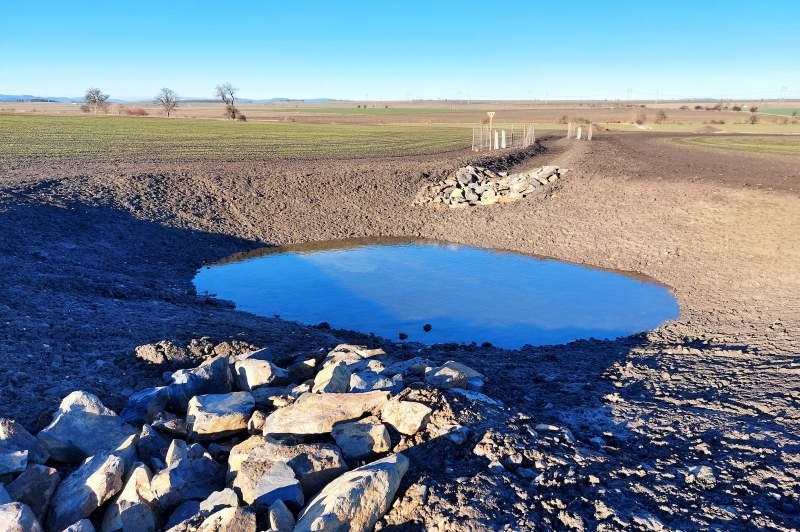 PSZ v Milčevsi a Železné u Libořic_Po realizaci tůně a zeleň