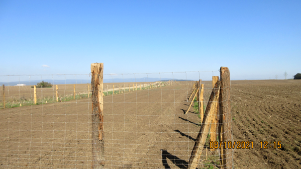 Větrolam Všehrdy 8.10.2021