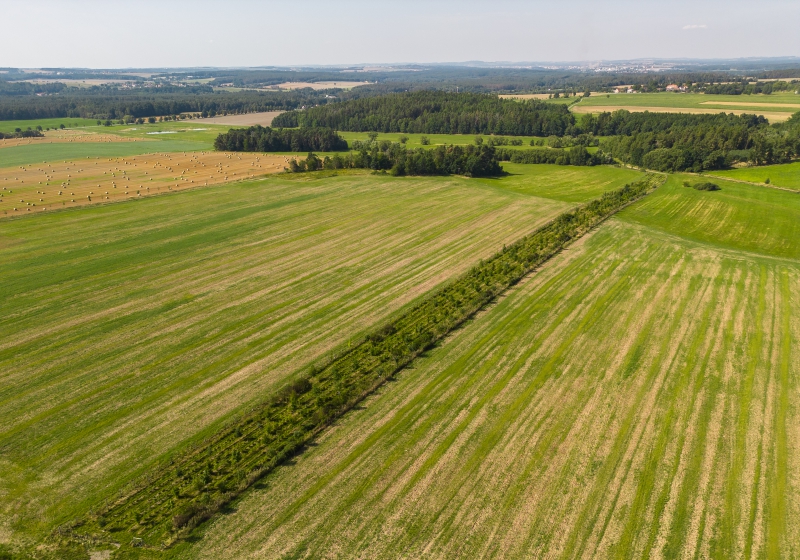 Biokoridor Klenovice léto 2023.jpg