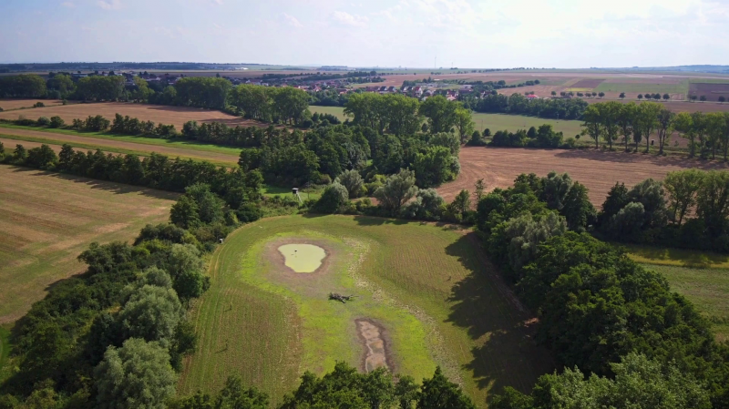 Mokřad v k.ú. Prosiměřice