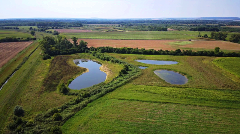 Mokřady v k.ú. Rakvice 