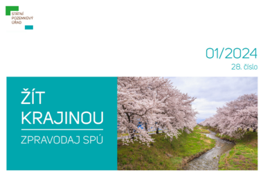 Newsletter 01 2024 (1).png