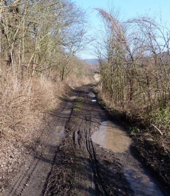 Obrázek5 Hlavní polní cesta HC16 v k.ú. Stadice po a před rekonstrukcí (směrem do Stadic).jpg