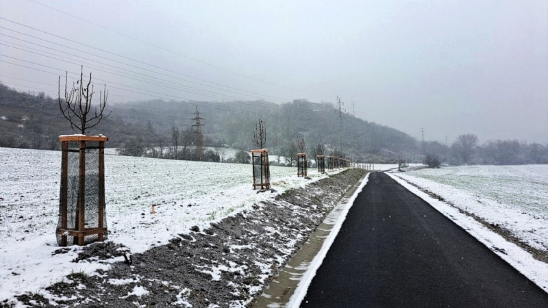 Hrušňová alej (ve směru na Stadice)