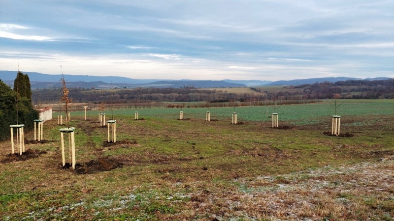 Lokalita Z2 („U Bořislavského hřbitova“).jpg