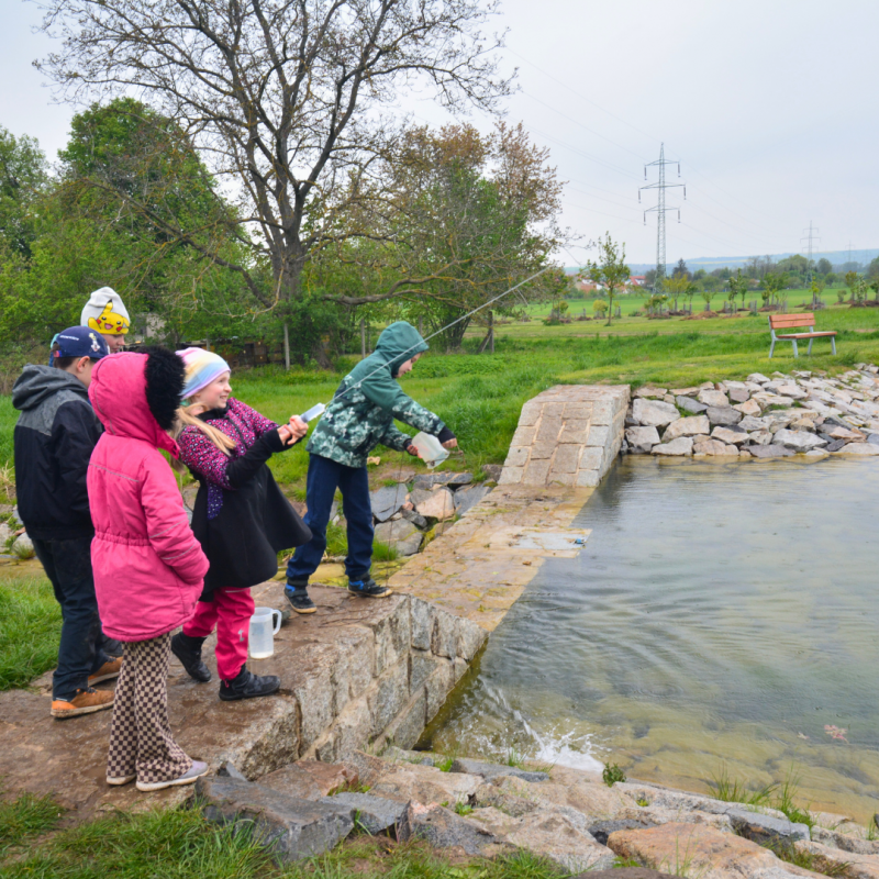 2024042024_Hrusky_ZS Slunicko (24).png