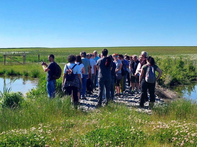 01 Senice Véklice.jpg