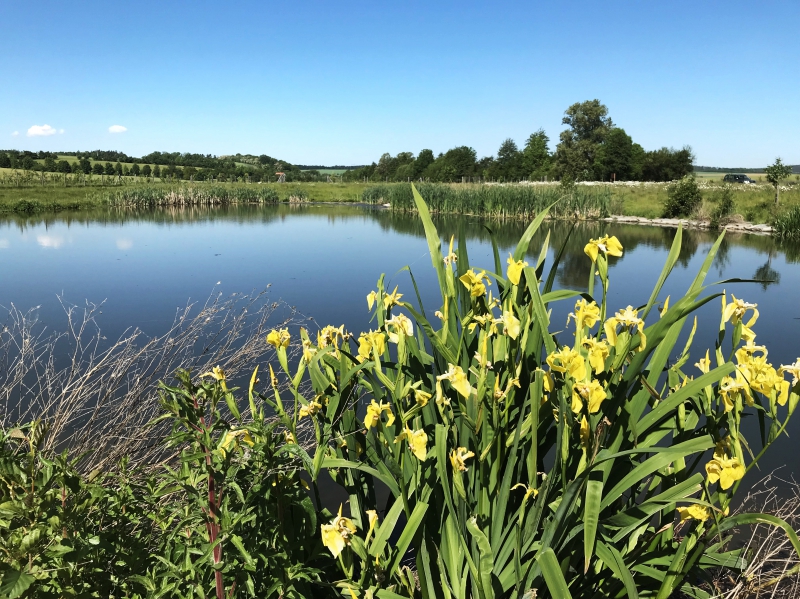 02 Senice Véklice.jpg