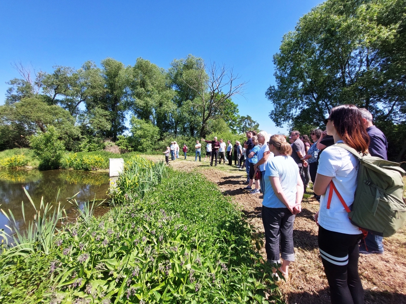 03 Loučany biotop.jpg