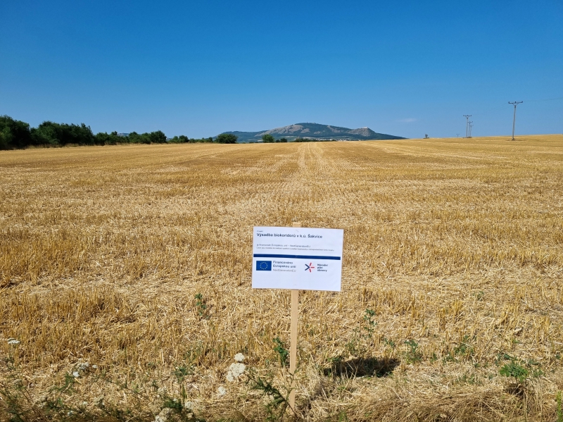 20230718_103919_BK a BC v k.ú. Šakvice_PŘED.jpg