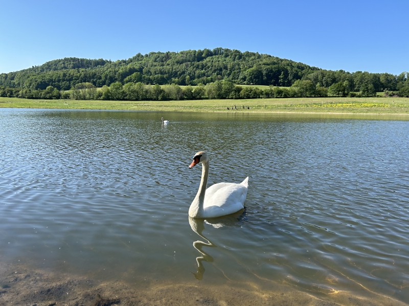 BC Tomíkovice Žulová (53).JPG