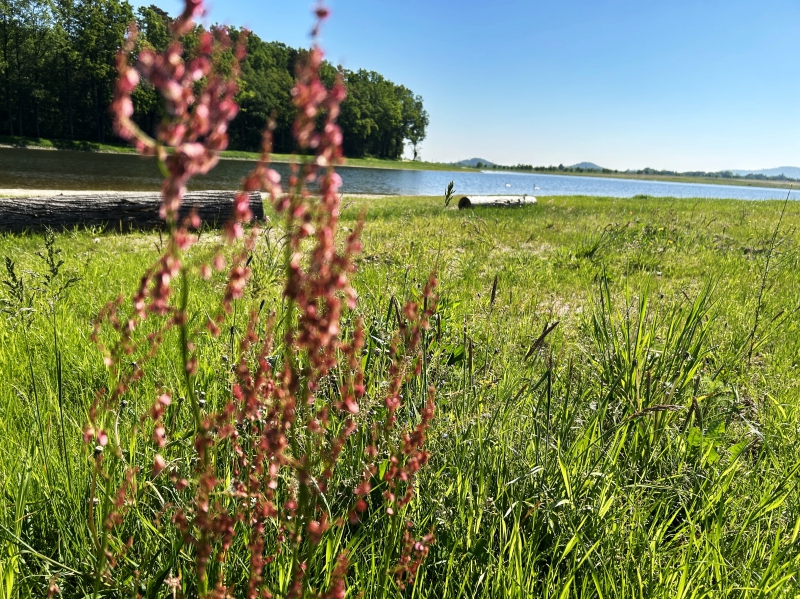 BC Tomíkovice Žulová (73).JPG