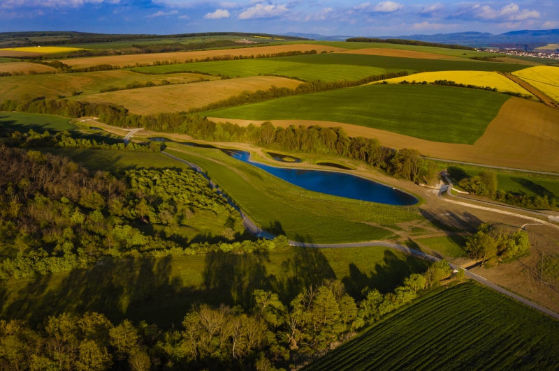 Revitalizační opatření na břehu Holomně_k.ú. Drslavice.jpg