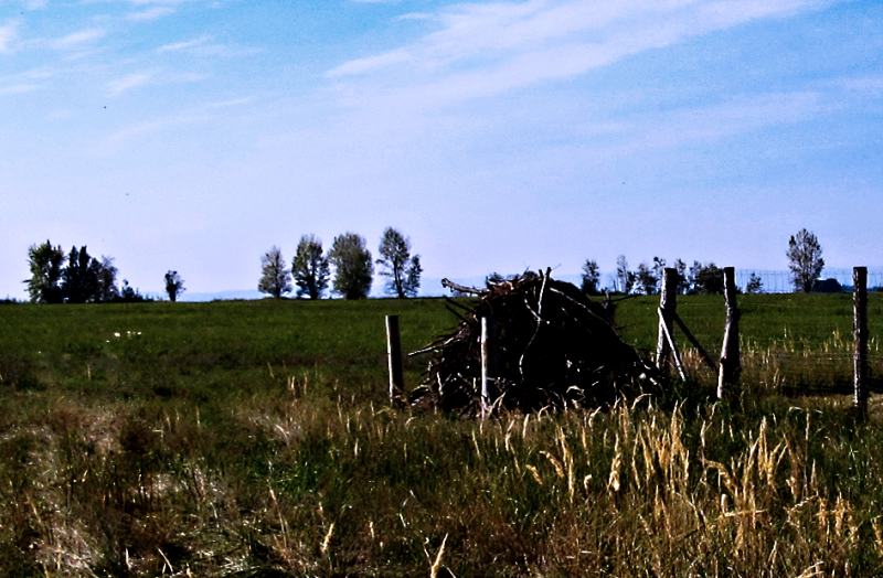 ÚSES v k.ú. Vysočany - plazník