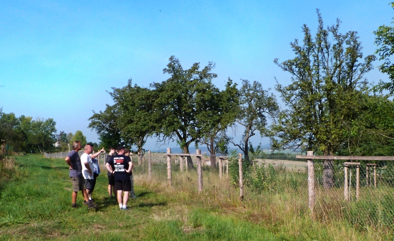 Výsadby NPO Bořislav