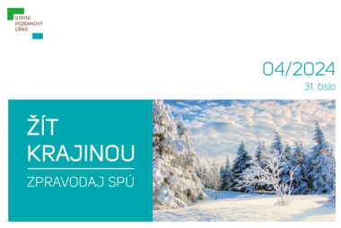 Newsletter 04 2024.png