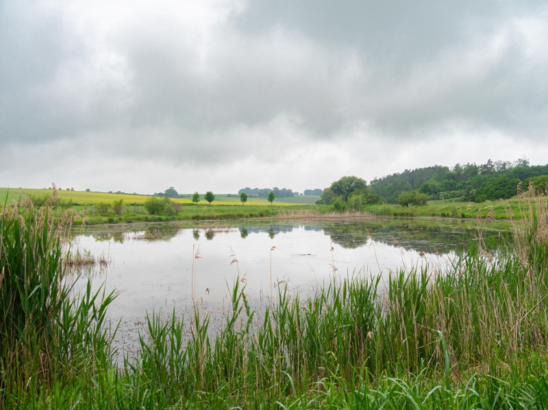 Biocentrum Za Obcí v Sendražicích