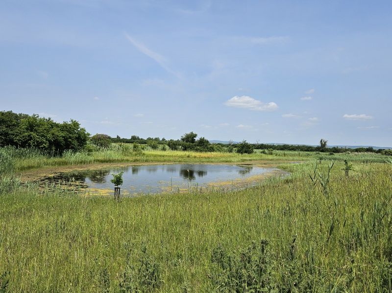Exkurze studentů ČZU Břeclavsko - mokřad (foto credit ČZU)