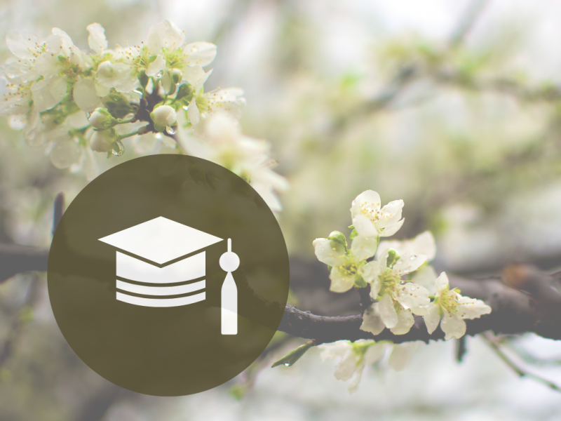 spolupráce se školami.png