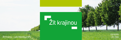 Newsletter 02 2025.png