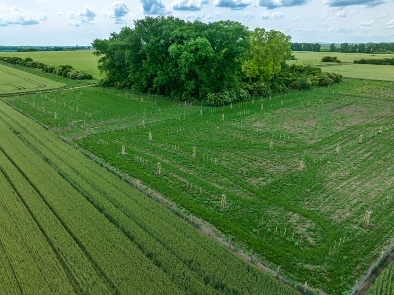 2024 5,76 ha BK16d, BK17a, BK17b a BC10 v k.ú. Veselí-Předměstí.jpg