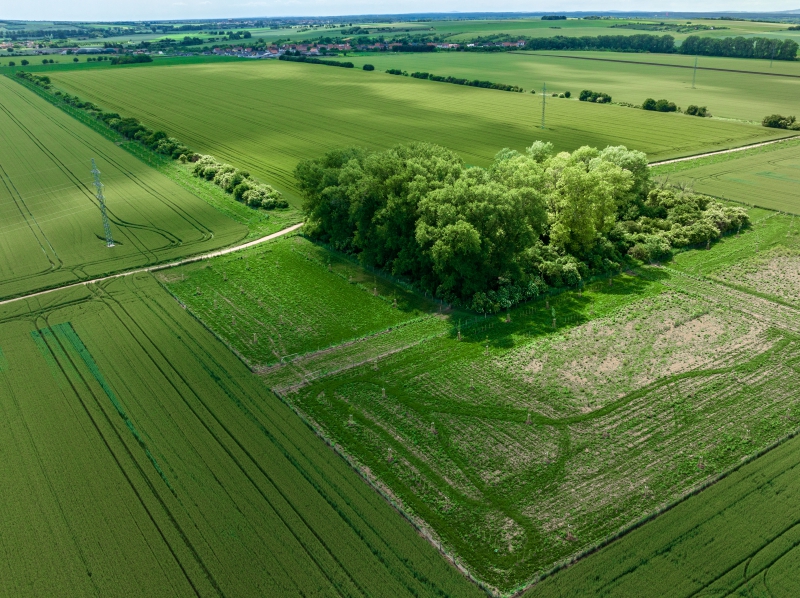 2024 5,76 ha BK16d, BK17a, BK17b a BC10 v k.ú. Veselí-Předměstí.jpg