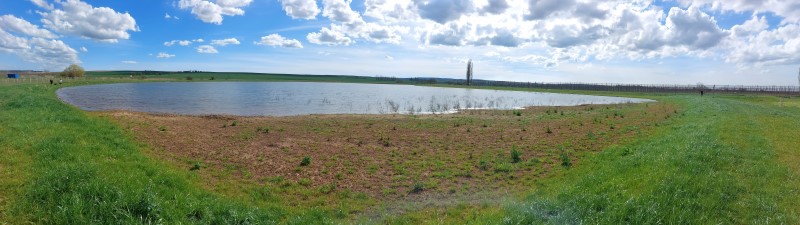 Kněževes u Rakovníka