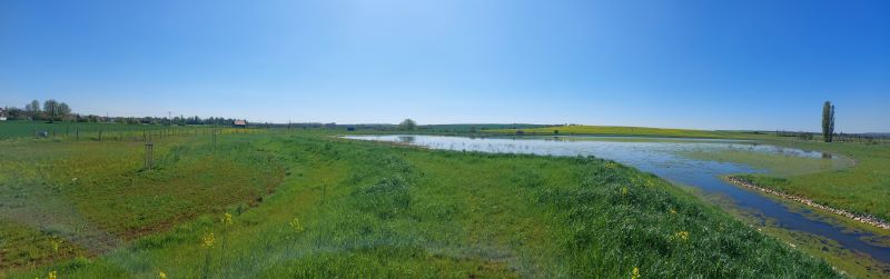 Kněževes u Rakovníka