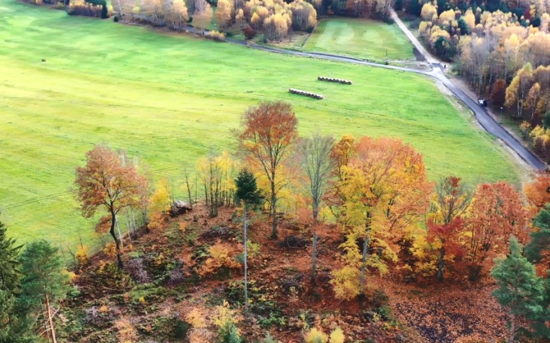 Labská stráň - polní cesta C1.jpg