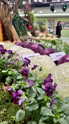 Flora Olomouc - Hortikomplex 2025