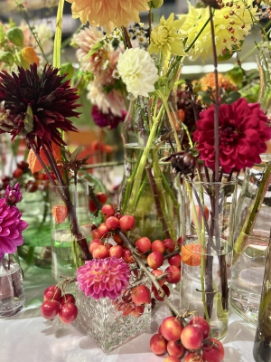 Flora Olomouc - Hortikomplex 2025