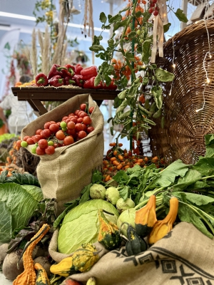 Flora Olomouc - Hortikomplex 2025